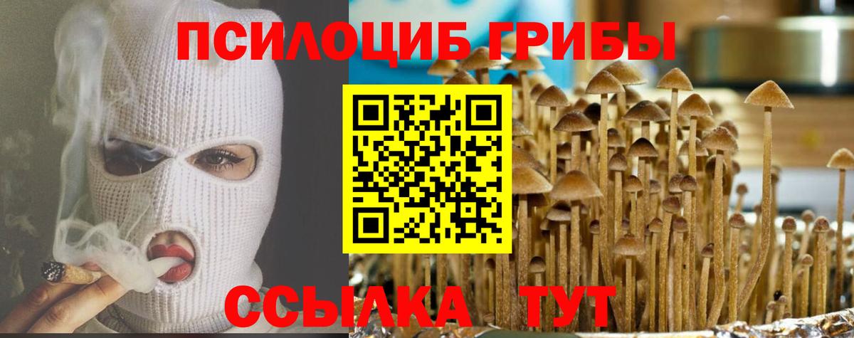 Псилоцибиновые грибы Cubensis Южноуральск
