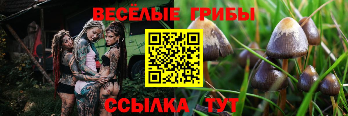 Галлюциногенные грибы Psilocybine cubensis  Вход с VPN  Южноуральск 